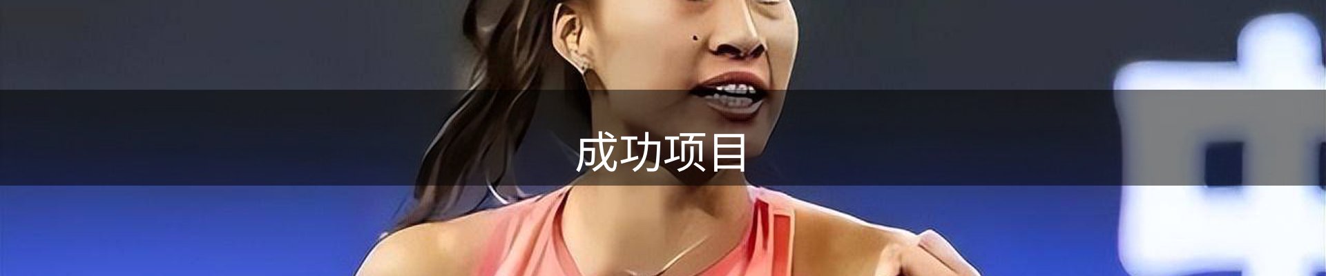 成功项目