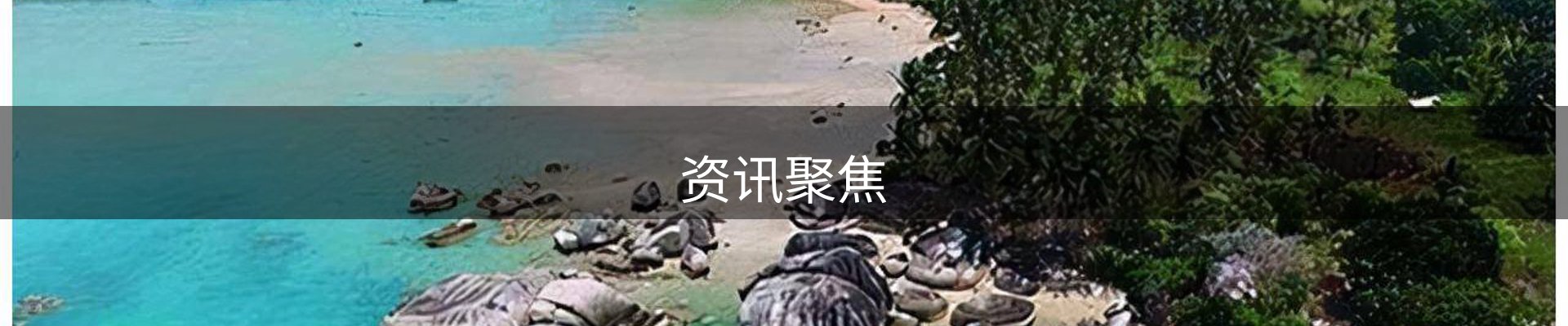 资讯聚焦